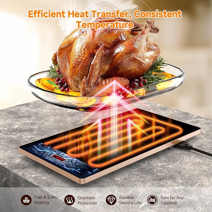 Electric Warming Tray 4 in 1